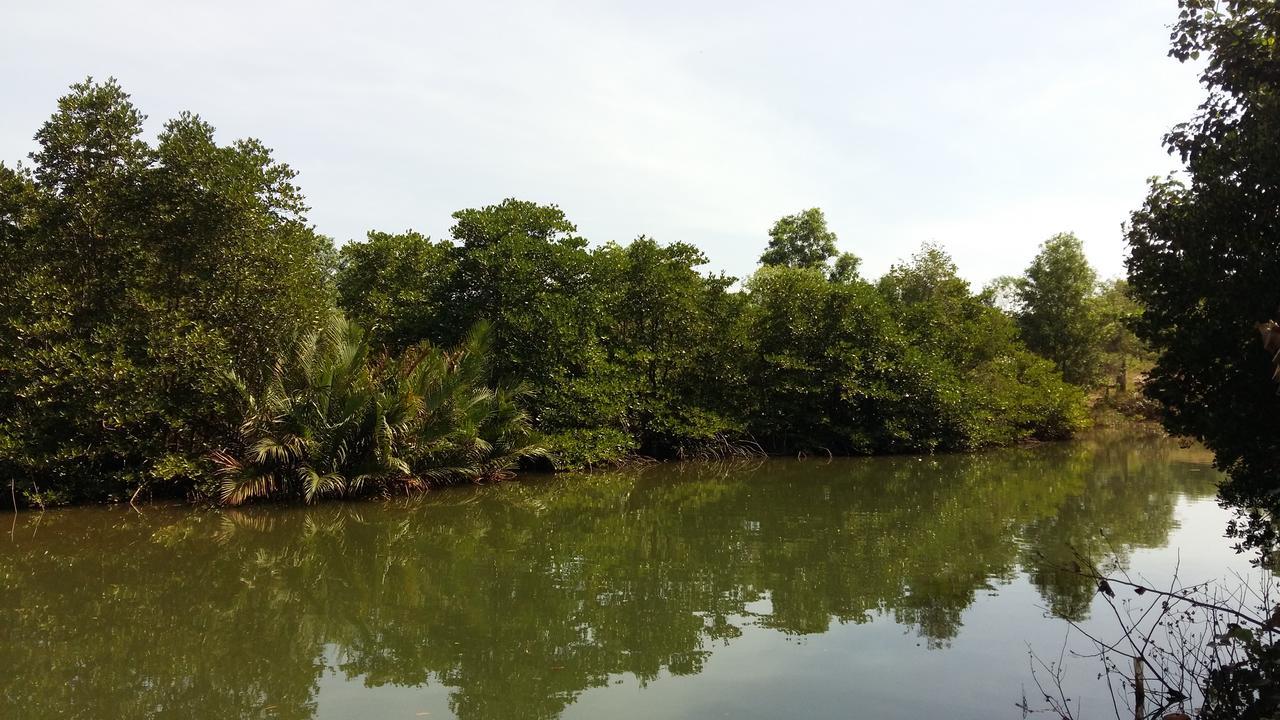 Mangroves & More @ Cambodia Sihanoukville Exterior photo